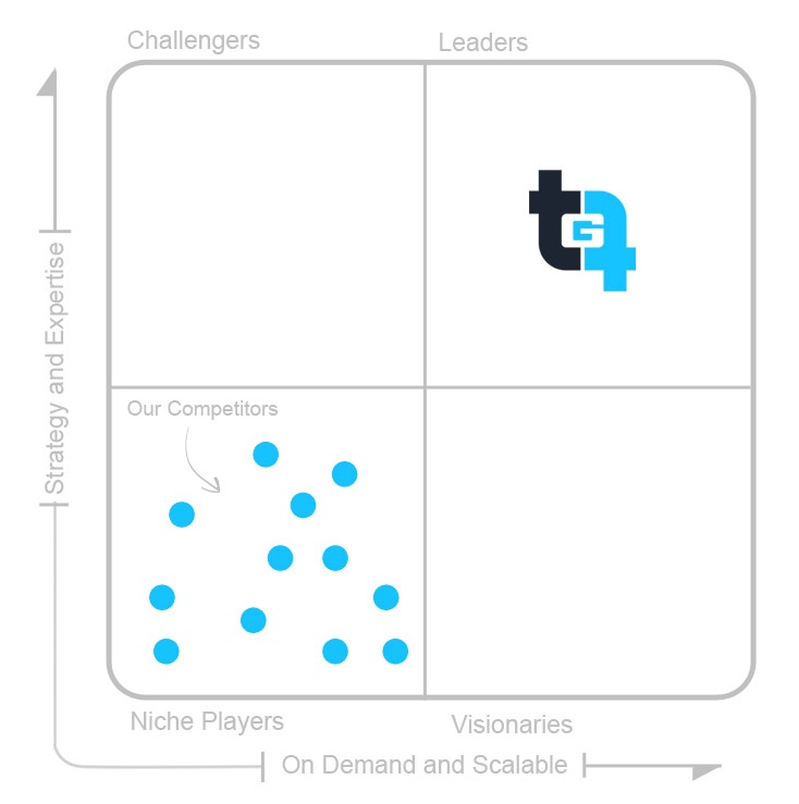 Virtual CIO